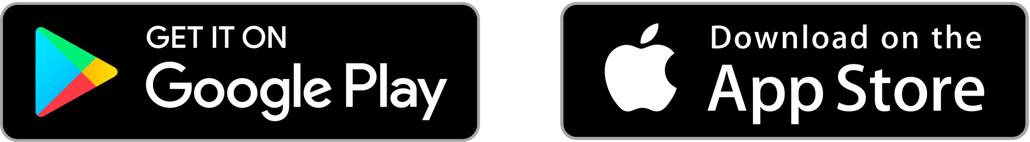 App Stores - Apple Store or Google Play